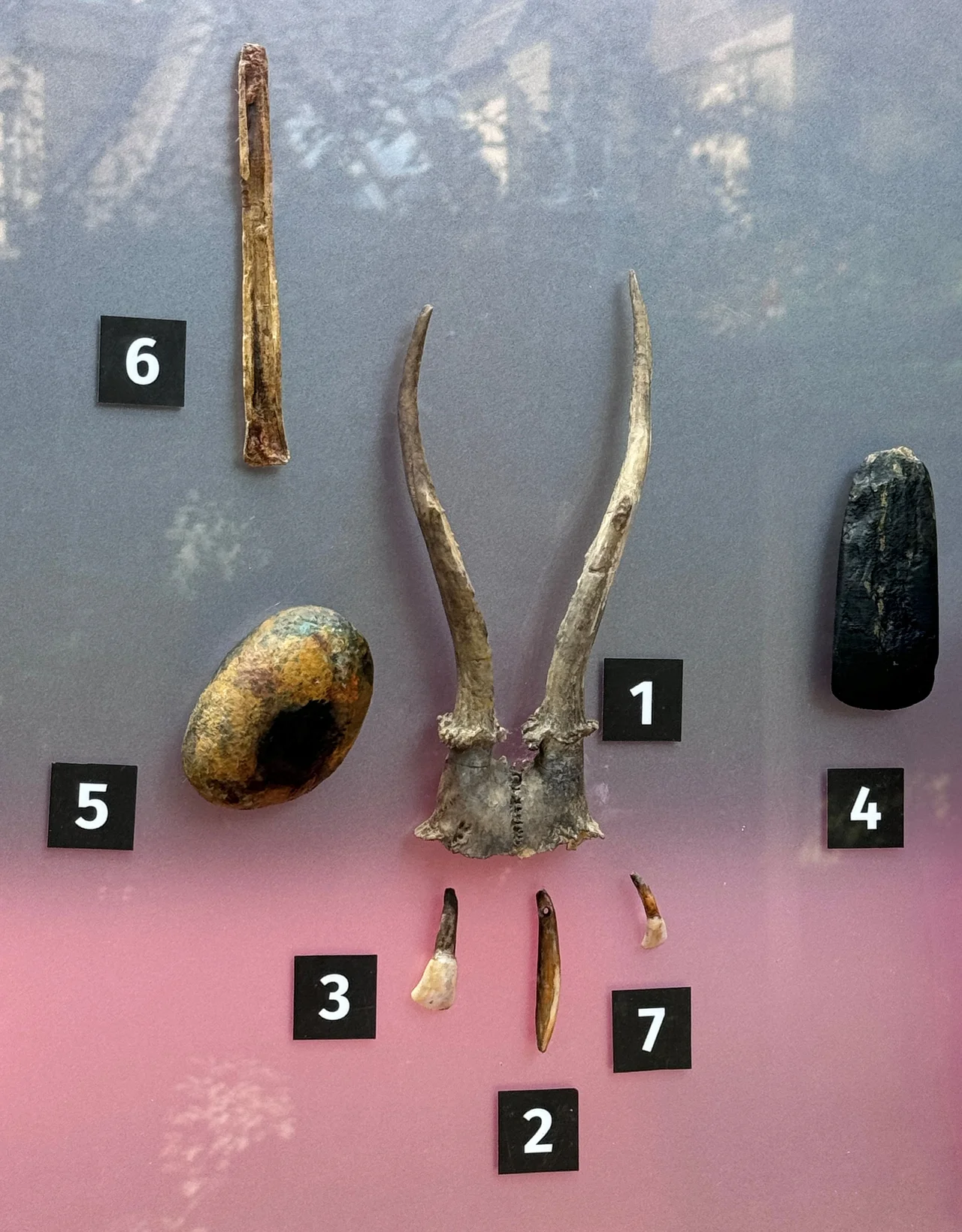 Bad Dürrenberg, LAGA 2024,  archaeological objects from a grave