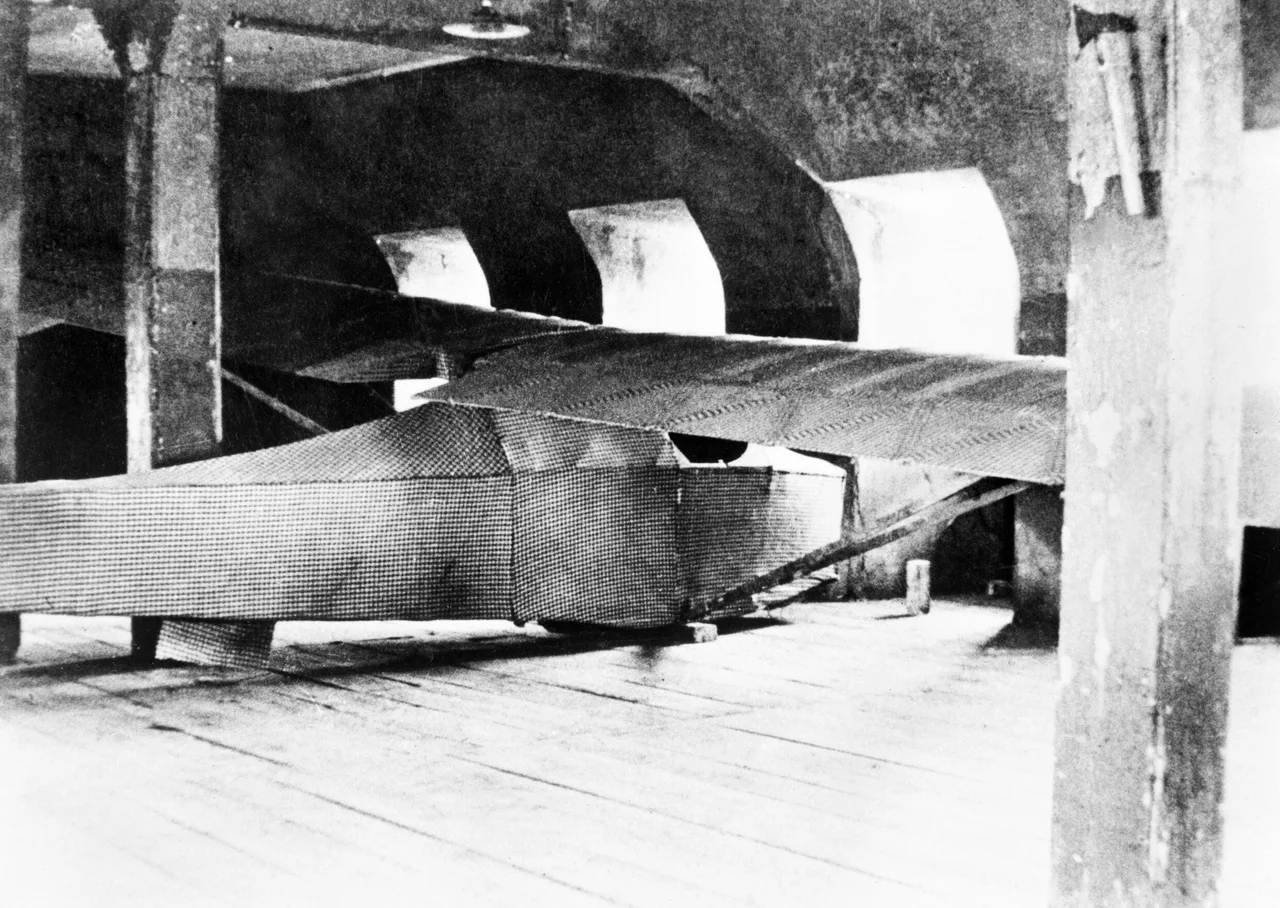 The only known picture of the Colditz glider: assembled by Bill Goldfinch and Jack Best in the lower attic above the chapel.
Photograph taken April 15th 1945 by Lee Carson, one of two newspaper correspondents assigned to Colonel Leo Shaughnessy's task force which relieved the Castle.

Image:Originalglider.jpg (english wiki)