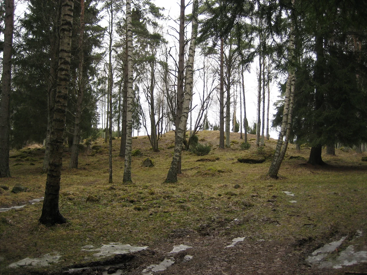 The Liinmaa Castle, former Vreghdenborch, at Linnamaa village, Eurajoki, Finland. The castle was active in the late 14th, early 15th century. The photograph shows the fortifications from the outside.