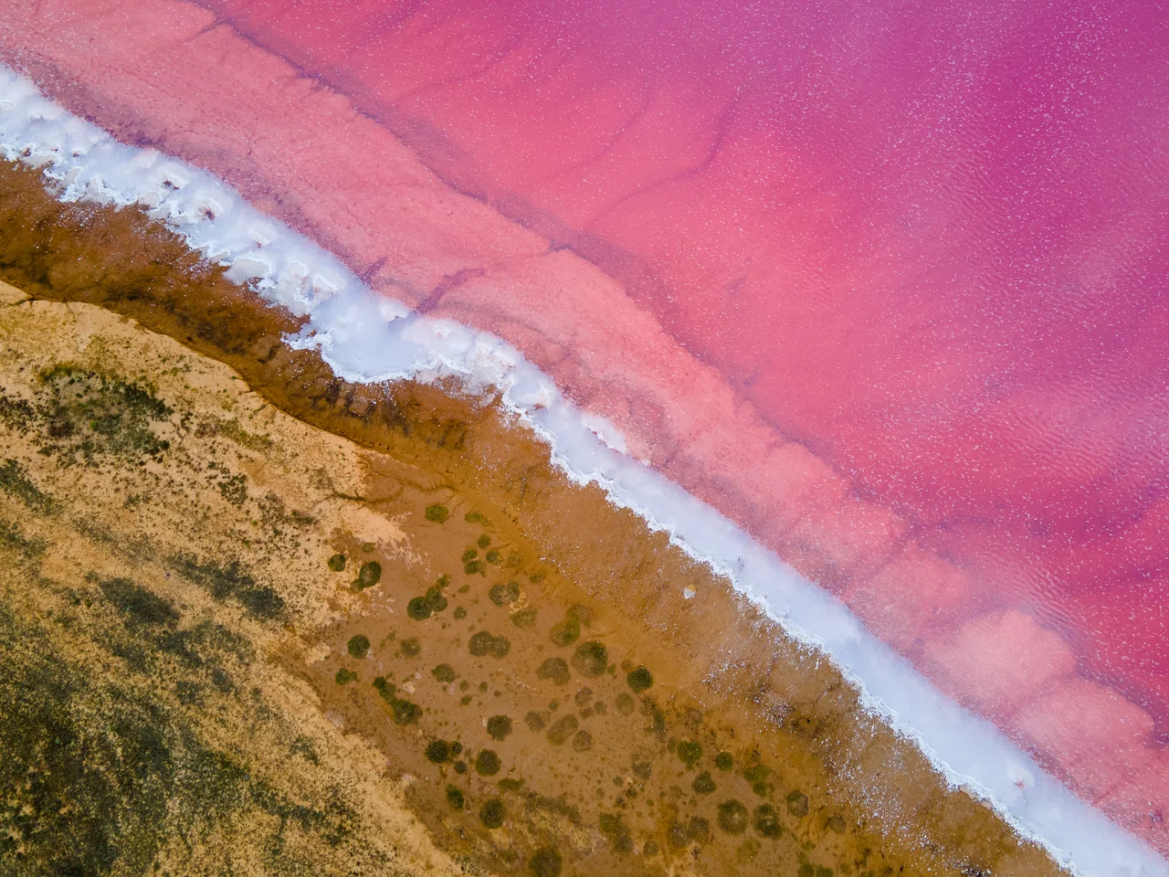 Azov-Syvash National Nature Park, Henichesk Raion, Kherson Oblast, Ukraine. The water of Syvash can be extremely salty and may appear pink in color due to the salt-tolerant micro-alga Dunaliella salina.