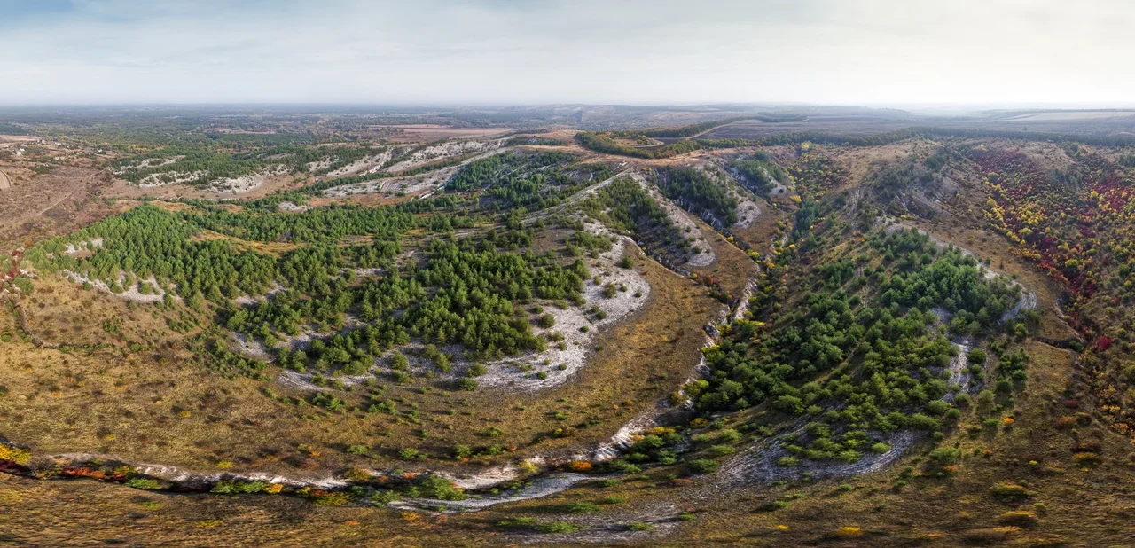 Горгани, Довбушанка (перші дві зліва засніжені вершини на горизонті). Фото, ймовірно, зроблене з Явірника (хребет)