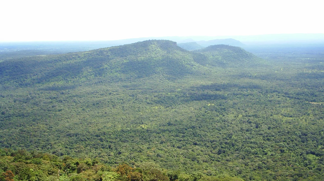 Dongrakfrommawidaeng1.jpg