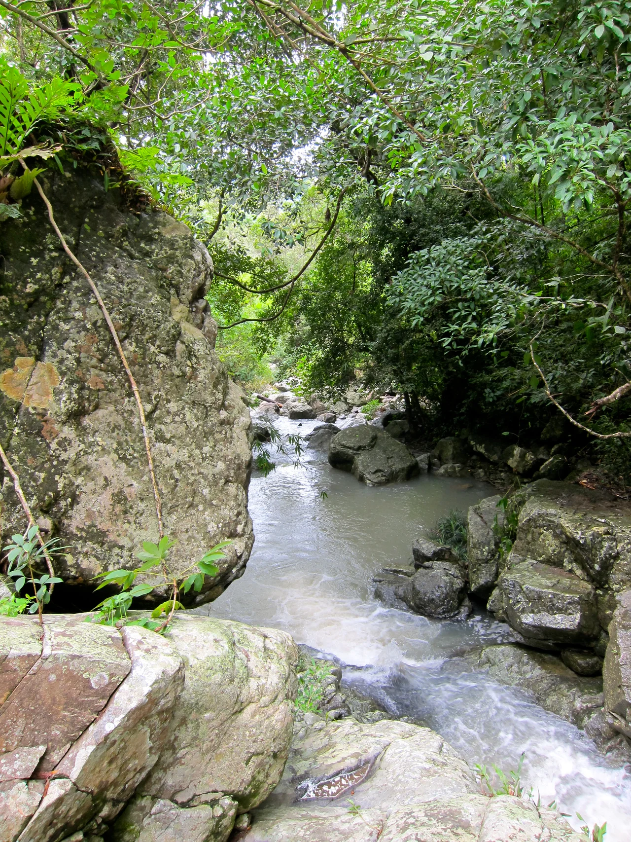 Waterfall in Phuoc Binh National Park, Ninh Thuan Province, Vietnam