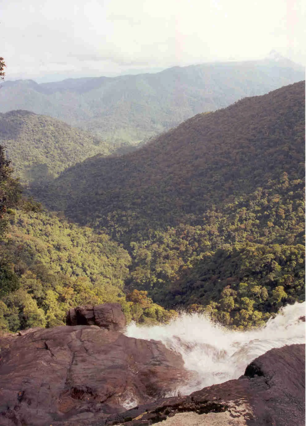 Bach Ma National Park, Vietnam