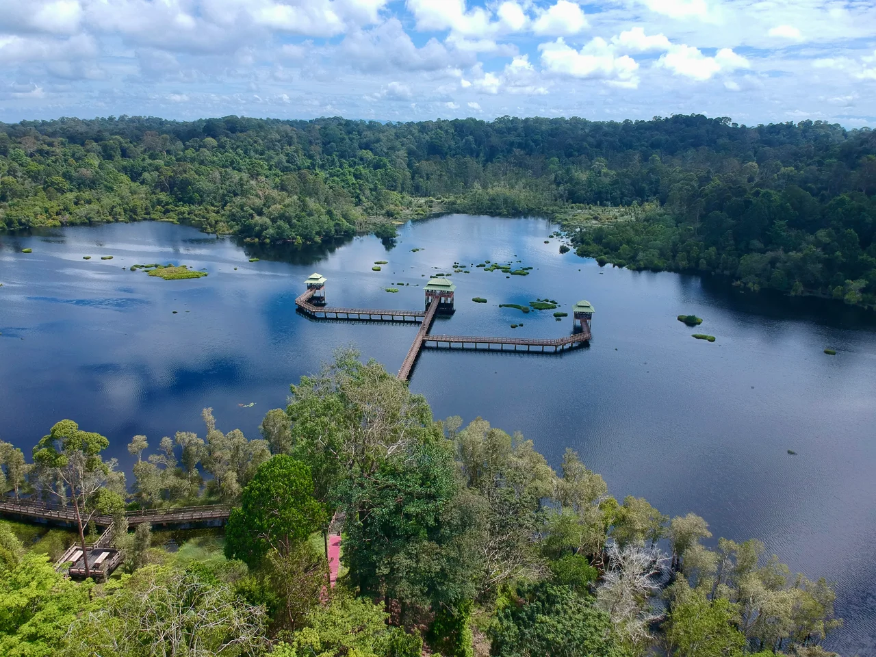 Aerial photograph of Luagan Lalak Forest Recreation Park on 25 December 2024.
