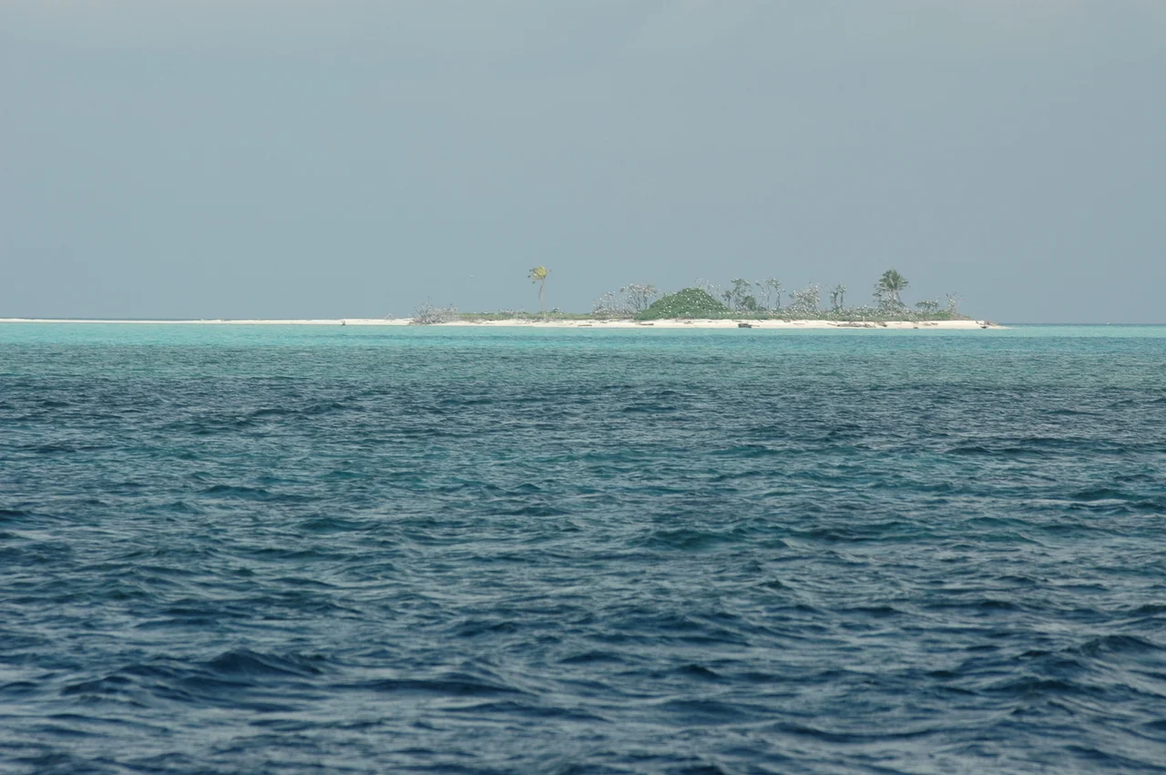 Tubbataha Reefs Natural Park (Philippines)