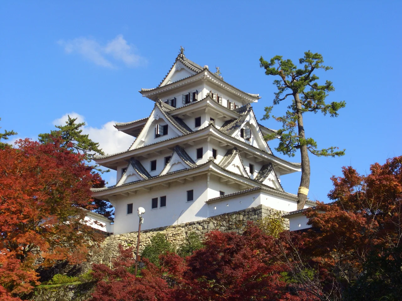 秋の紅葉と郡上八幡城