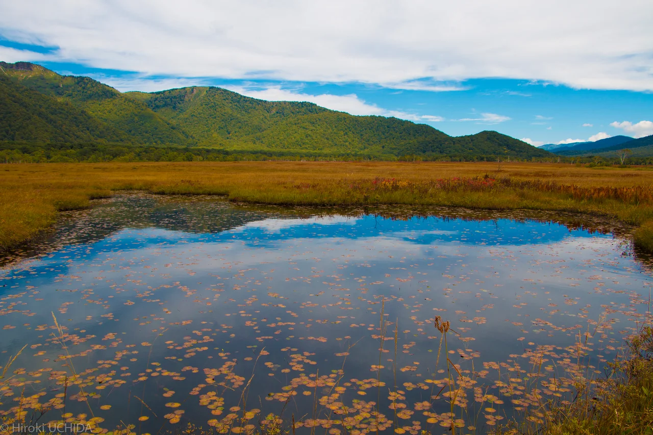 500px provided description: Oze National Park [#lake ,#japan ,#mountain]